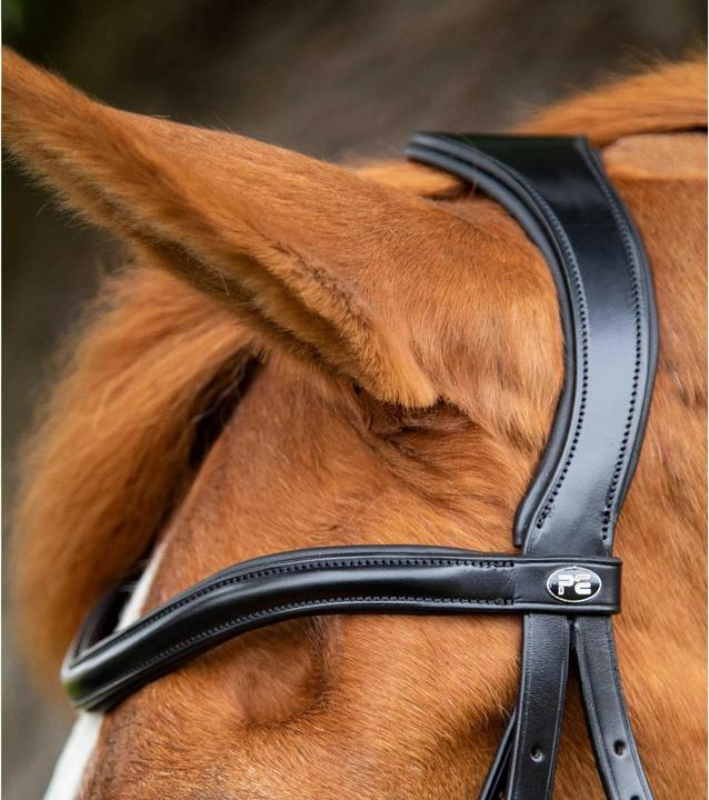 Actual product image Premier Equine Glorioso bridle