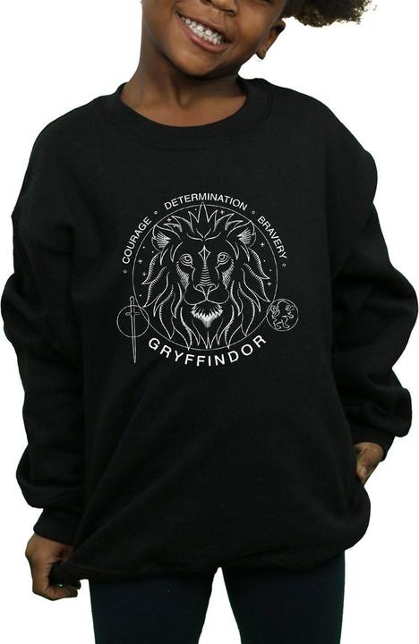 Produktbild Gryffindor Seal Sweatshirt Mädchen (140, 146)