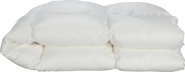 Produktbild Albis Kinder-Duvet Pongo 100 x 135 cm (100 x 135 cm)