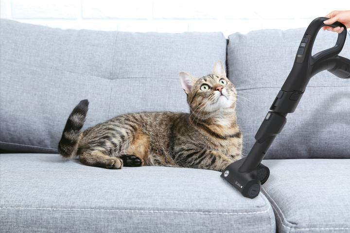 Immagine prodotto Hoover HP730ALG 011