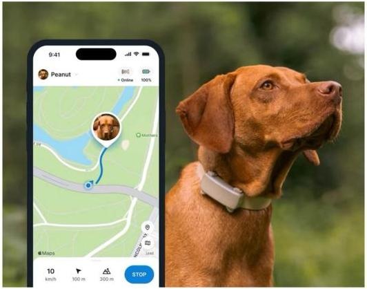 Immagine prodotto Tractive GPS Tracker Dog 6 (Cane)