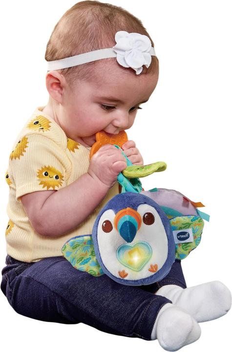 Actual product image VTech Baby Toucan Activity Ring