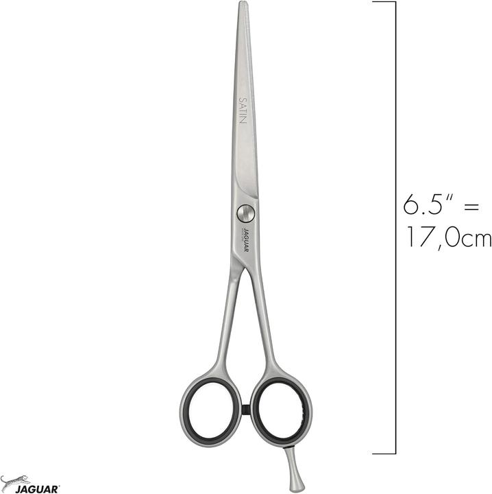 Actual product image Jaguar 0365 Satin White (16.51 cm)
