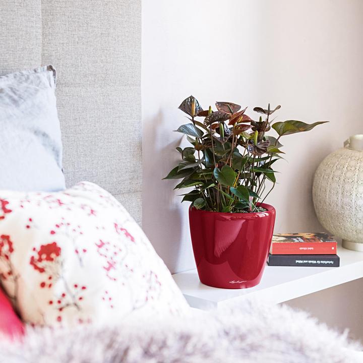 Produktbild Lechuza Classico (36 cm)