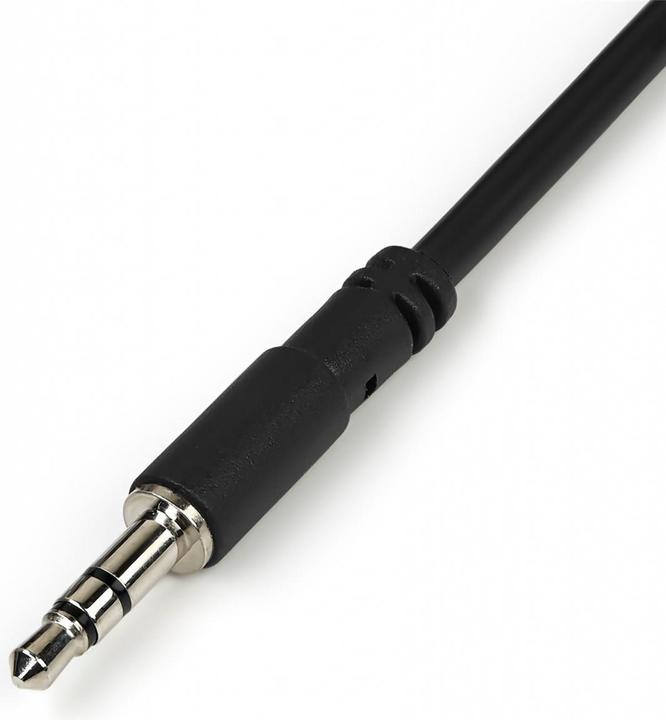 Actual product image StarTech Muy1mffs (0.20 m, AUX cable)