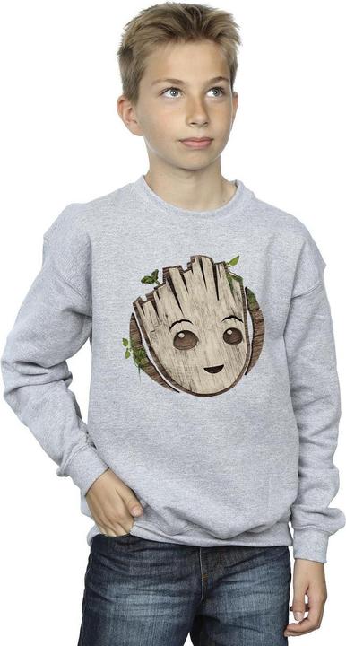 Produktbild I Am Groot Wooden Head Sweatshirt Jungen (152, 158)