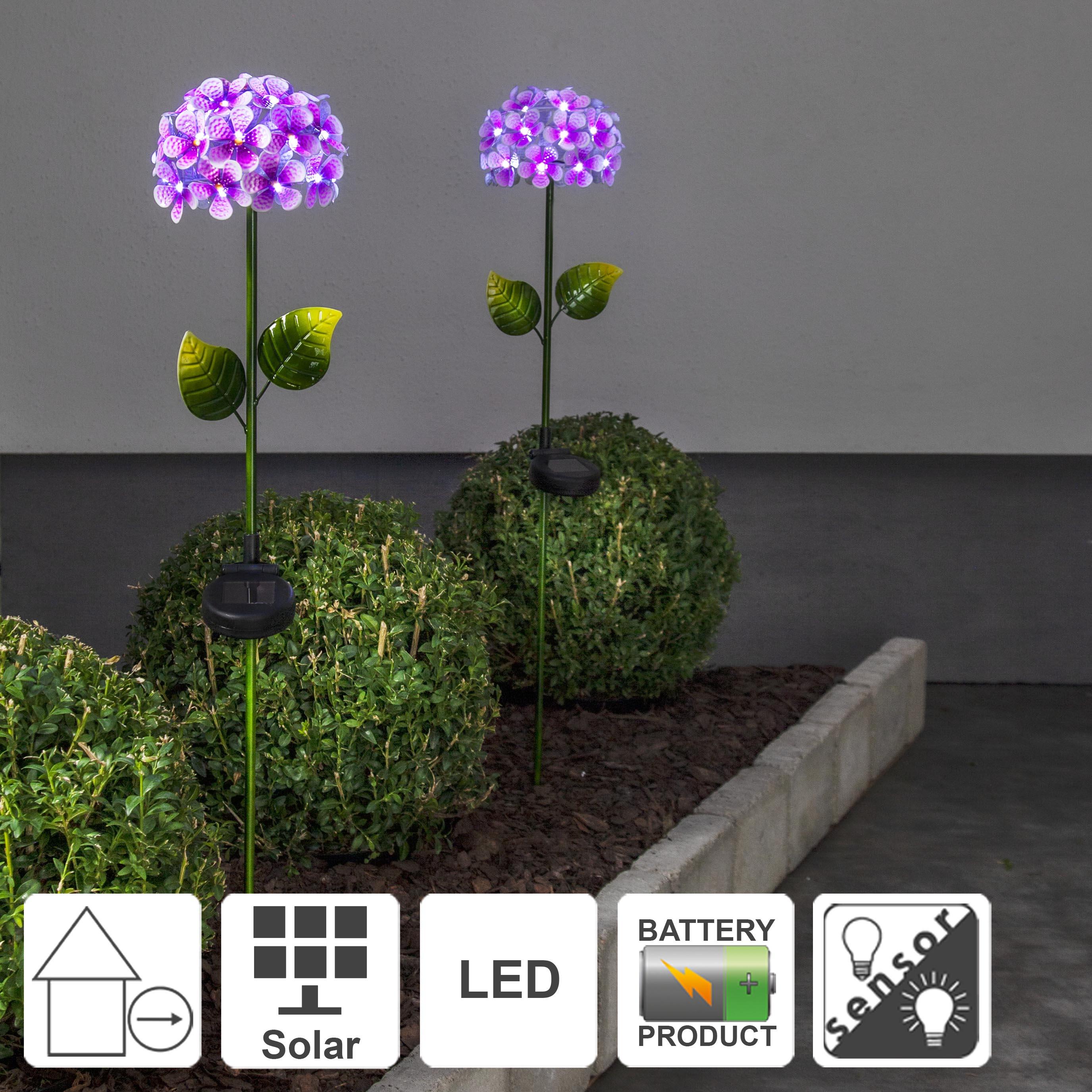 Thumbnail - Star Trading, Gartenbeleuchtung, Hortensia (IP44)