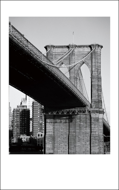 Immagine prodotto Fujifilm Mini Film Instax Monocromatico (Instassare Mini)