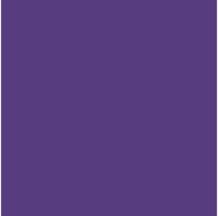 Image du produit Cricut Film vinyle Smart amovible 33 x 91 cm, 1 pièce, Violet (1 x)