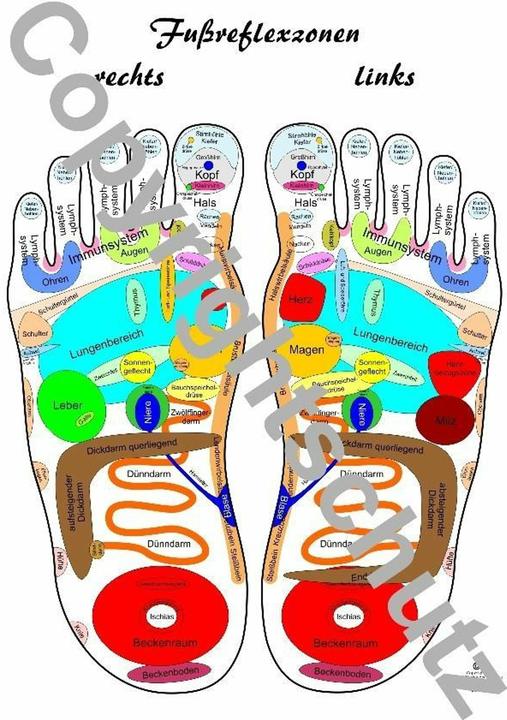 Image du produit Reflexzonenbersicht - Fe