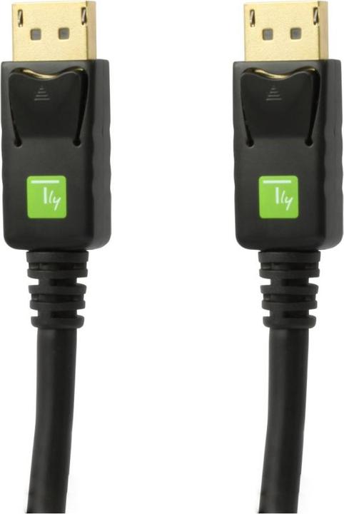 Actual product image Techly DisplayPort — DisplayPort (2 m, DisplayPort)