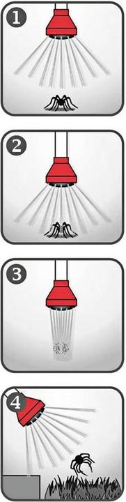 Actual product image Swissinno Spinnenfänger