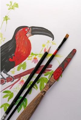 Image du produit Clairefontaine Paint'On (250 g/m², 40 x)