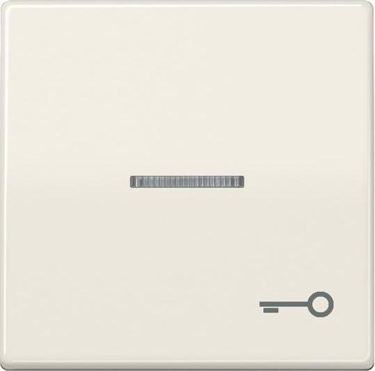 Actual product image JUNG Control rocker switch AS ws glz AS591KO5T