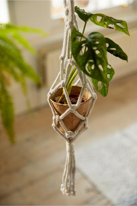 Image du produit DMC Set macramé Mindful Making plantes suspendues, 53 cm