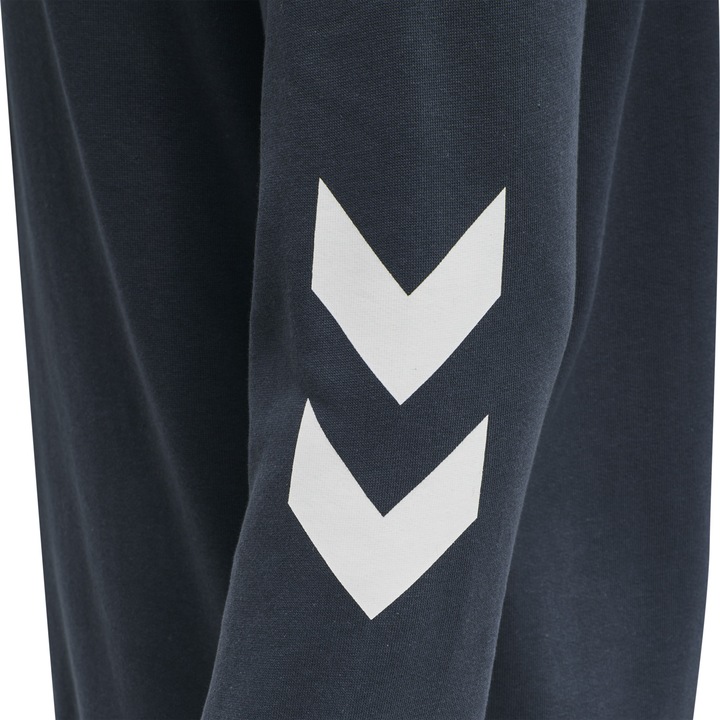 Image du produit hummel Hmllegacy Zip Hoodie Plus (XXL)