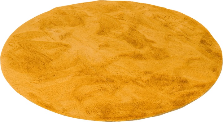 Curry
