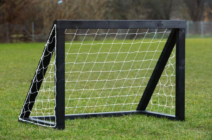 Produktbild Euro Play Homegoal Pro Micro - Sort