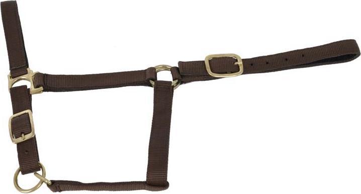 Immagine prodotto TdeT Cavezza per cavalli rivestita in pelle scamosciata