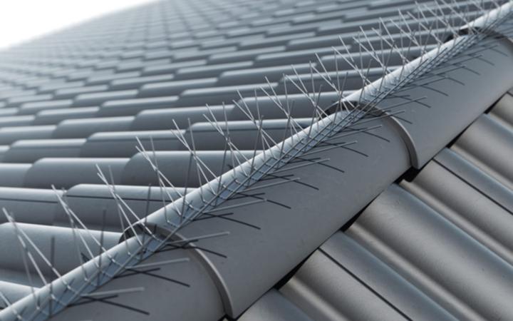 Image du produit Astrein Taubenabwehr-Spikes