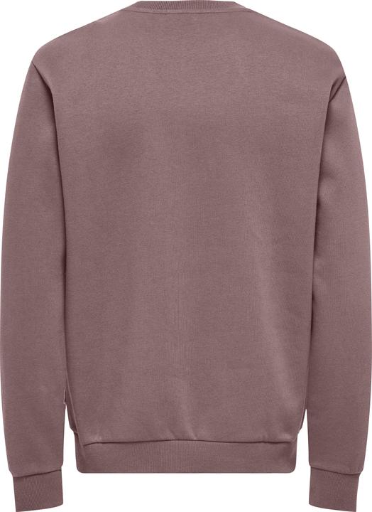 Actual product image Only & Sons Onsceres Crew Neck Noos (XXL)