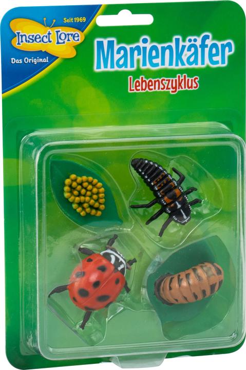 Immagine prodotto HCM Kinzel Ciclo di vita della coccinella