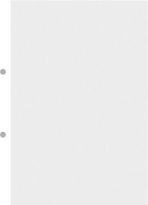 Actual product image Ingold-Biwa Ring binder inserts A4