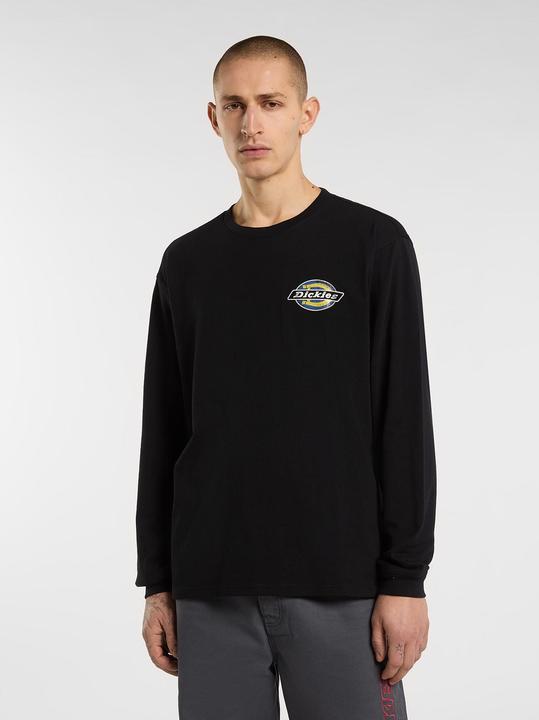 Produktbild Dickies Nashport Ls Tee (S)