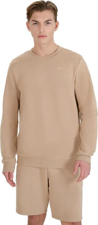 Produktbild 4F WSS25TSWSM1622 Sweatshirt (M)