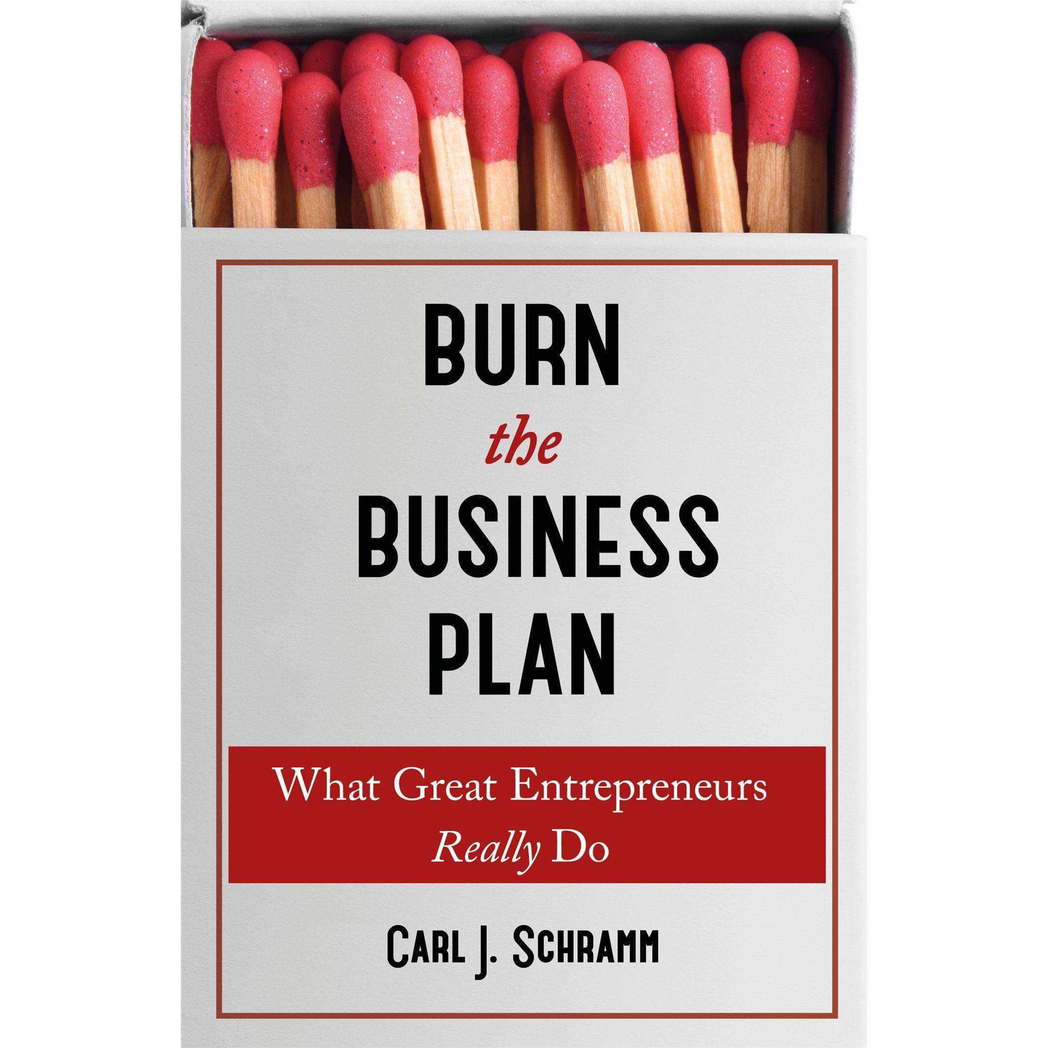 Schramm:Burn The Business Plan, Ratgeber von Carl J. Schramm