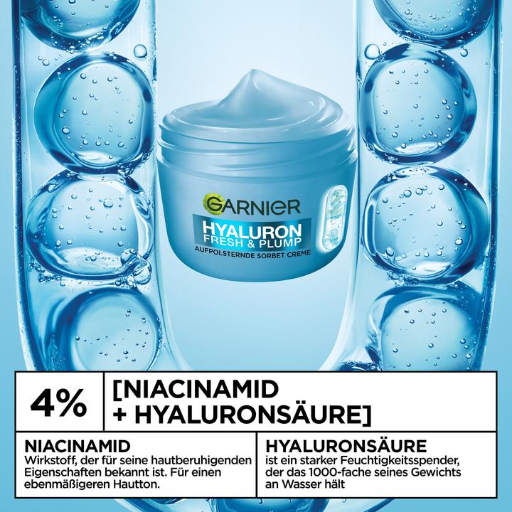 Image du produit Garnier Natural (85 ml, Crème 24h)