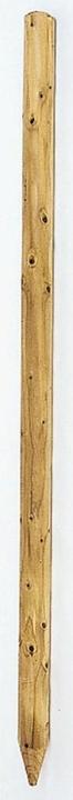 Actual product image Neogard Tree stake, green