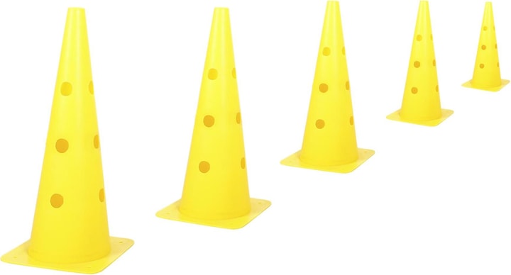 Image du produit Kerbl Kit de pylônes-haies Agility (Taille unique, Agility)