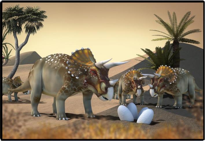 Styro Blocco da scrittura PP 50x34 Dinos (50 x 34 cm)