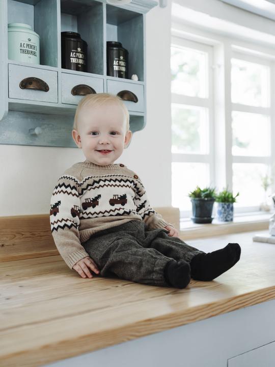 Produktbild Hust and Claire Babyboy Pullover HCPerry Truck (62)