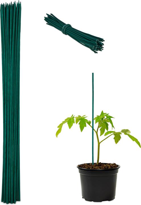 Produktbild Relaxdays 50x Pflanzenstab (60 cm, 60 cm)