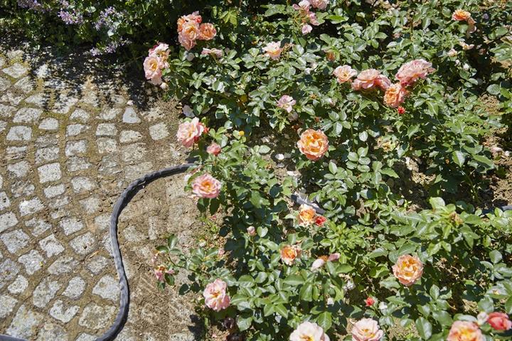 Actual product image Gardena Liano (10 m, 12.70 mm)