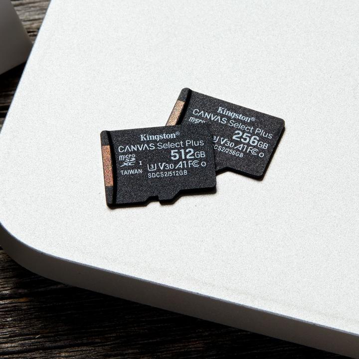Image du produit Kingston Canvas Select Plus (256 Go, microSDXC, U3, UHS-I)