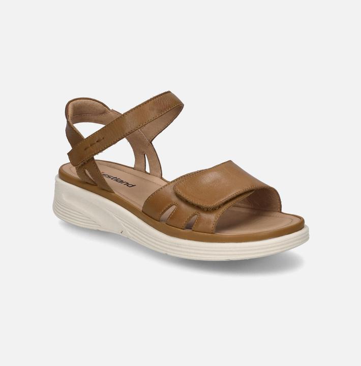 Actual product image Westland 17903-409 (40)