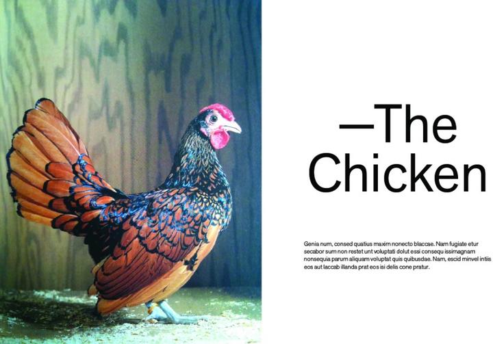 Produktbild Yardbird (Englisch, Matt Abergel, 2018)