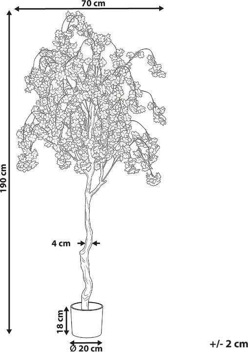Immagine prodotto Beliani Cherry Tree (190 cm)