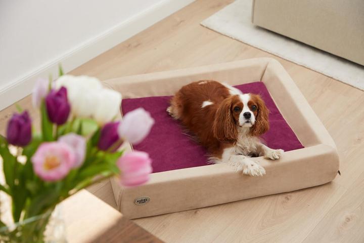 Produktbild Sabro Hundebett Bezug für Kudde: Summertime (Hund)
