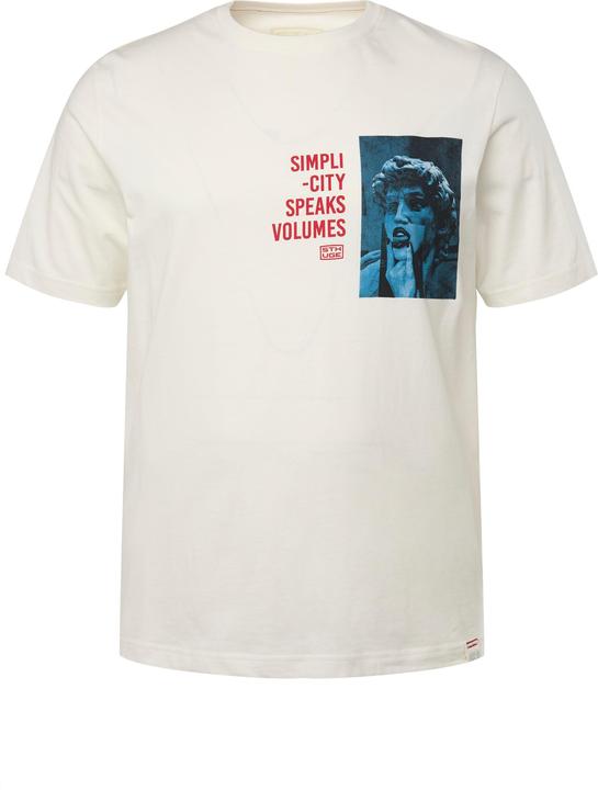 Produktbild Sthuge T-Shirt, Halbarm, Print, Rundhals (4XL)