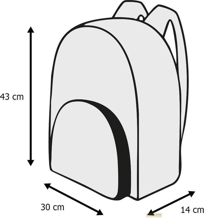 Produktbild La Plume Dorée Fortnite - Defy the Storm