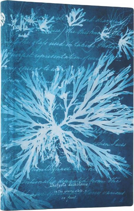 Produktbild Paperblanks Notizbuch Softcover Meeresblumen Mini Liniert (9 x 14 cm, Liniert, Weicher Einband)