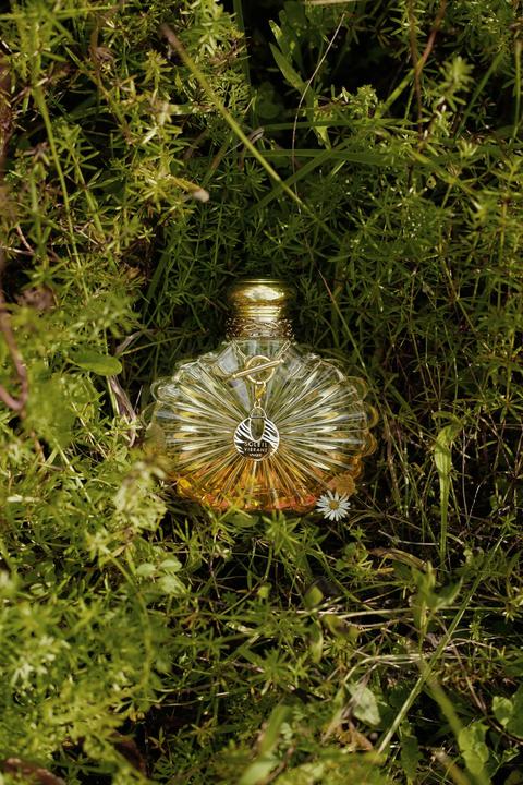 Produktbild Lalique Soleil Vibrant (Eau de Parfum, 100 ml)