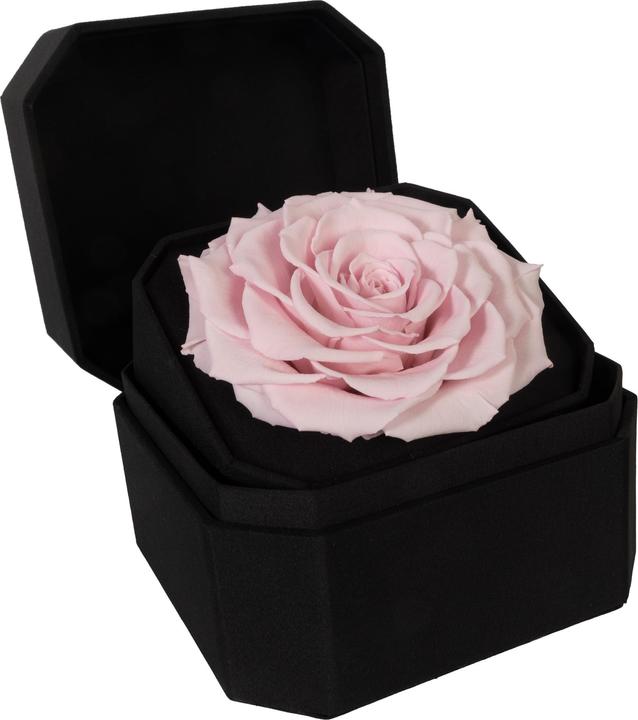Migros Ostschweiz Premium rose (stabilised rose) in gift box (Infinity Flowers, 1x)