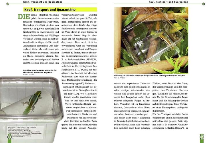 Image du produit Le gecko bleu diurne en bambou (Allemand, Ulrike Anders)