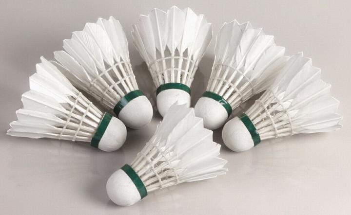 Actual product image Hudora Pendulums with natural springs Speed