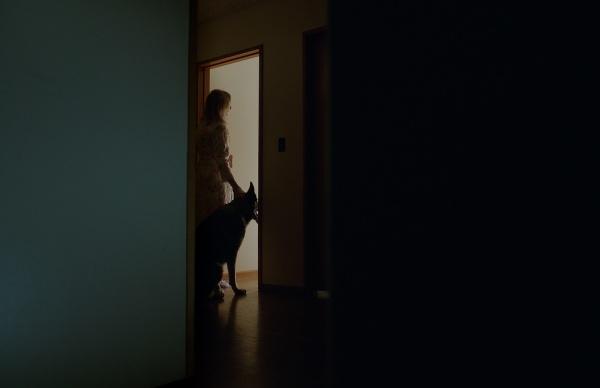 Produktbild Plaion Xx (Blu-ray, 2017, Deutsch, Englisch)